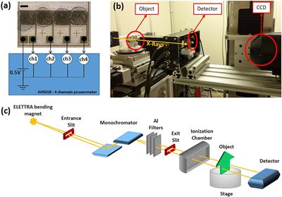 Medical Applications of Tissue-Equivalent, Organic-Based Flexible Direct X-Ray Detectors